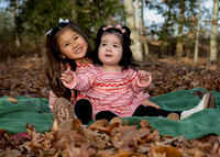 _RFZ0504 copy
