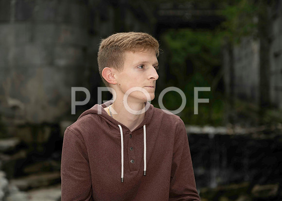 _RFZ8529