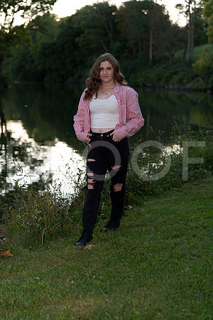 _RAF7406