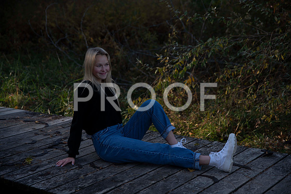 _RAF8522