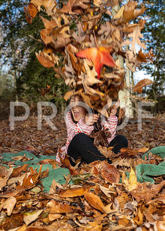 _RFZ0525