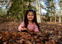 _RFZ0511 copy