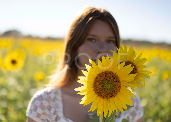 _RAF3608