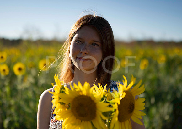 _RAF3843