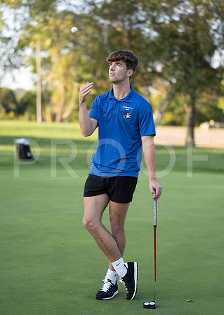 _RAF4065