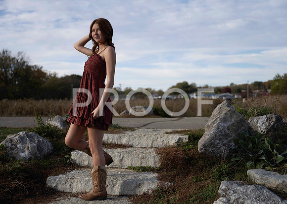 _RFZ4806