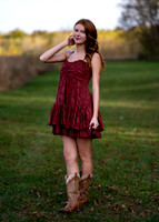 _RAF5198 copy