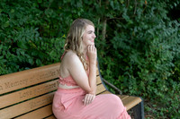 _RAF3163