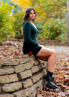 _RAF0869 copy