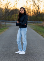 _RAF1395 copy