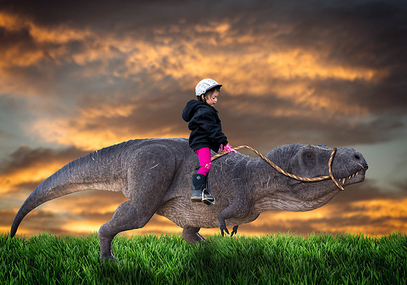 dino caroline