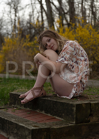 _RAF3040