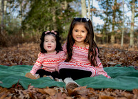 Cindy Sheets Edited Photos from Nov 2024