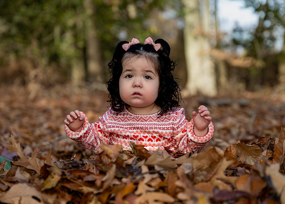 _RFZ0537 copy