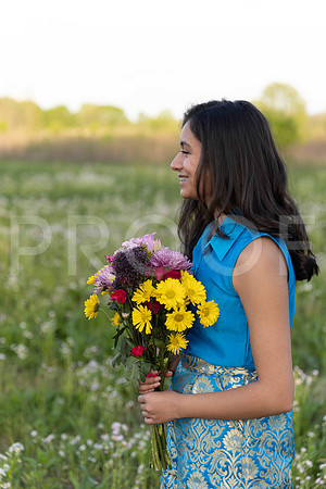 _RAF7231