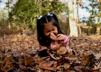 _RFZ0512 copy