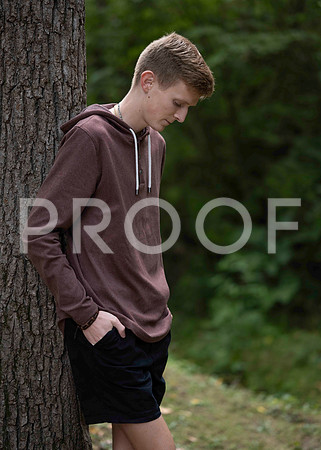 _RAF8785