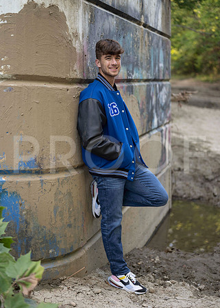 _RAF3526