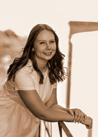 _RFZ6798-1 copy sepia
