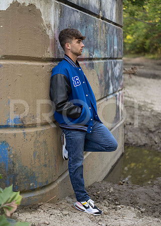 _RAF3531