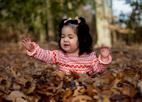 _RFZ0539 copy