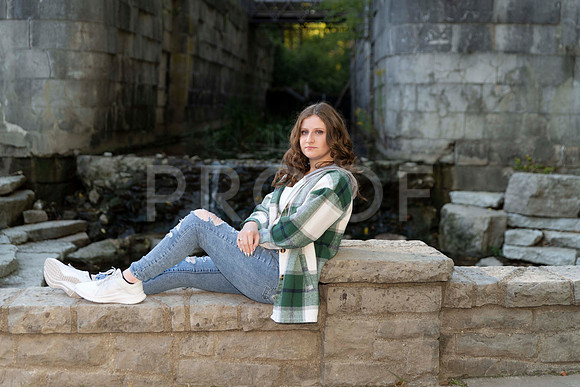 _RAF7046